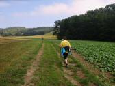  Blick auf die Wanderstrecke 